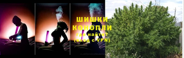 стаф Магас