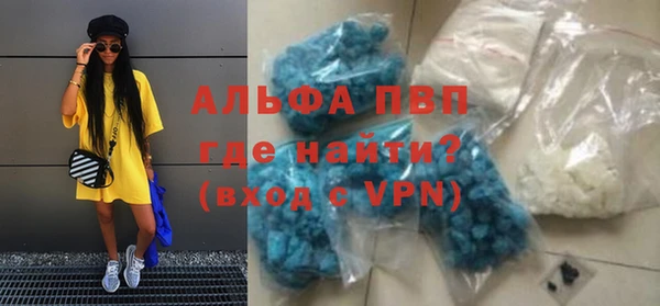 стаф Магас