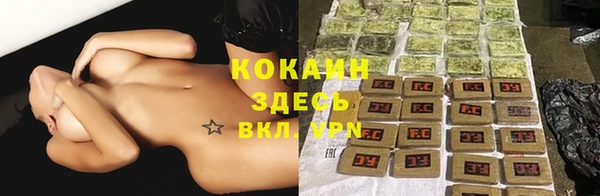 стаф Магас