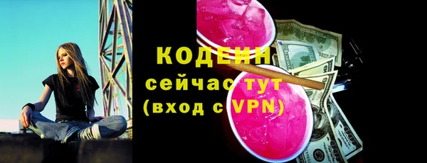 стаф Магас