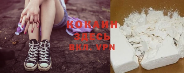 стаф Магас