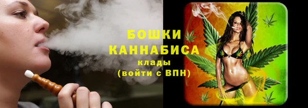 стафф Майский