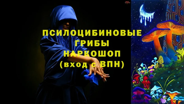 стаф Магас