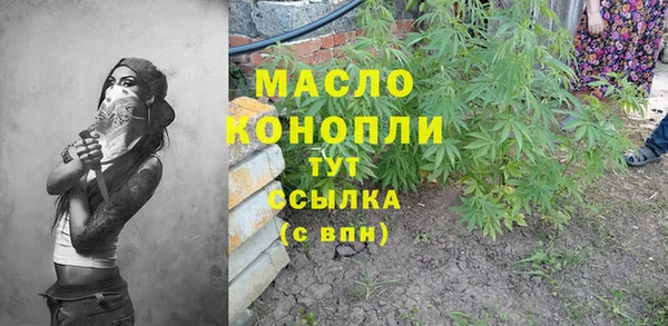 стаф Магас