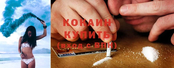 стаф Магас