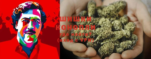 стаф Магас