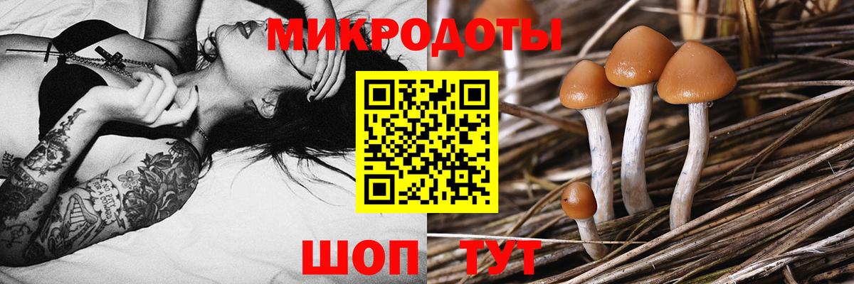 Галлюциногенные грибы Psilocybe  Псилоцибиновые грибы Cubensis  Переславль-Залесский 